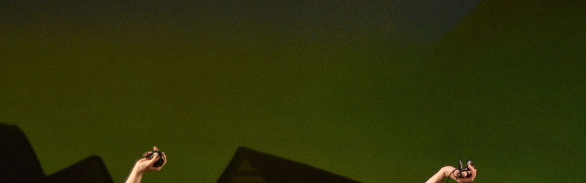 A Notre Dame-i toronyőr